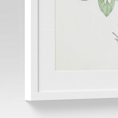 (Set Of 2) 24" X 30" Flowers Framed Wall Art White - Threshold™