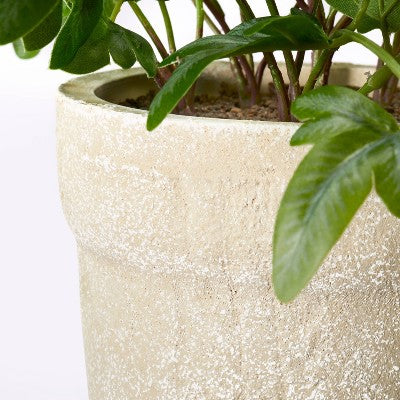 Medium Ribbon Fern Leaf In Pot - Threshold™ Designed With Studio McGee