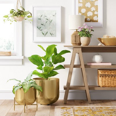  Small Brass Planter - Threshold™