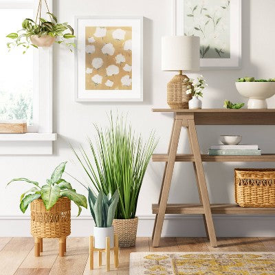  Small Snake Plant In Plant Stand - Threshold™