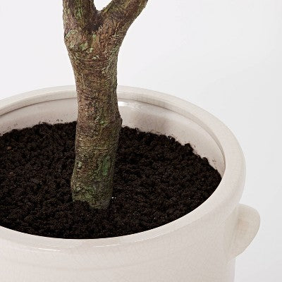  76.5"x 30" Artificial Olive Tree In Ceramic Pot - Threshold™ Designed With Studio McGee
