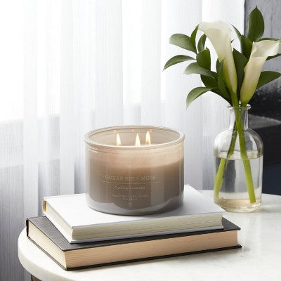  14oz Lidded Gray Glass Jar Crackling Wooden 3-Wick Candle With Clear Label Ocean Air + Moss - Threshold™