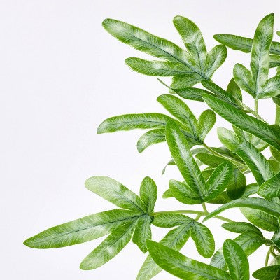 Medium Ribbon Fern Leaf In Pot - Threshold™ Designed With Studio McGee