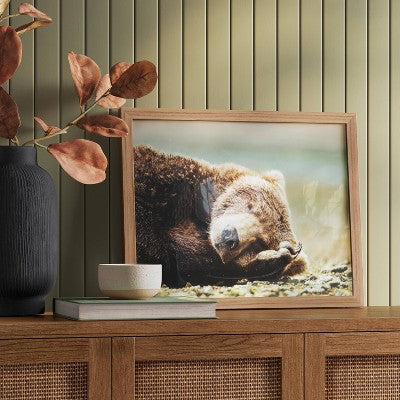  20" X 16" Bear Photography Framed Art Brown - Threshold™