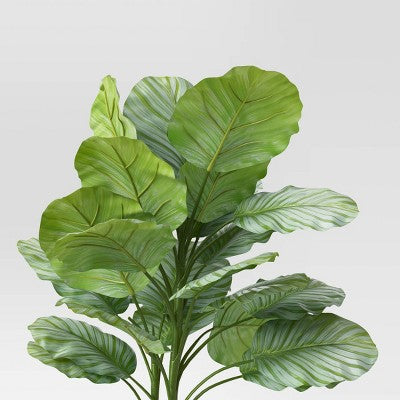  Large Variegated Plant - Threshold™