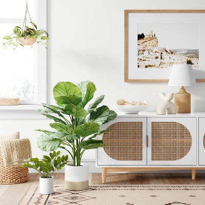  Large Variegated Plant - Threshold™