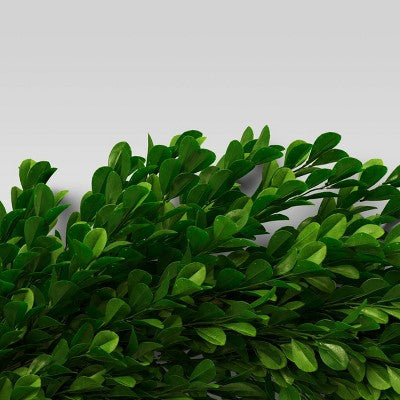  21.25" Preserved Boxwood Wreath - Threshold™