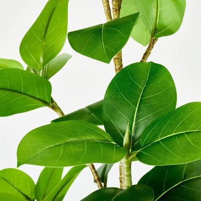  Banyan Leaf Potted Tree - Threshold™ Designed With Studio McGee