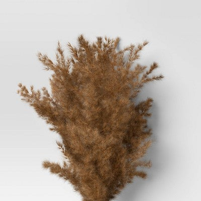  Pampas Grass Bundle - Threshold™