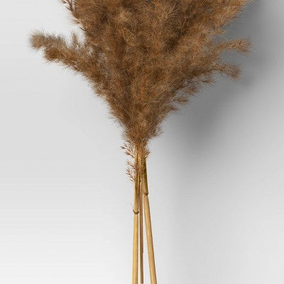  Pampas Grass Bundle - Threshold™