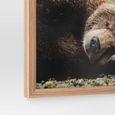  20" X 16" Bear Photography Framed Art Brown - Threshold™