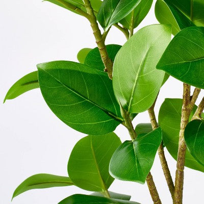  Banyan Tree Potted - Threshold™ Designed With Studio McGee
