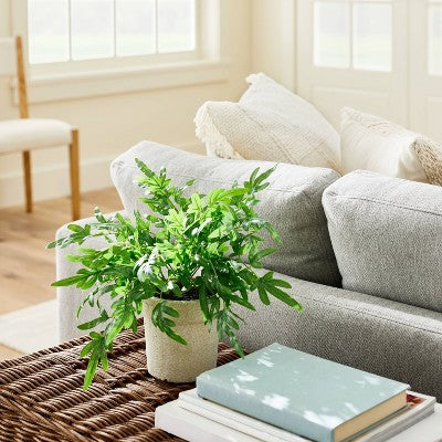  Medium Ribbon Fern Leaf In Pot - Threshold™ Designed With Studio McGee