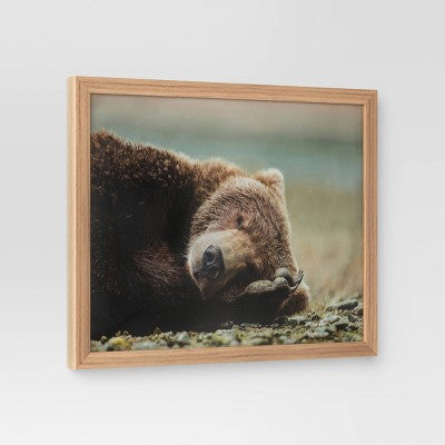  20" X 16" Bear Photography Framed Art Brown - Threshold™
