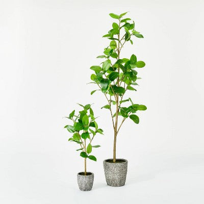  Banyan Leaf Potted Tree - Threshold™ Designed With Studio McGee