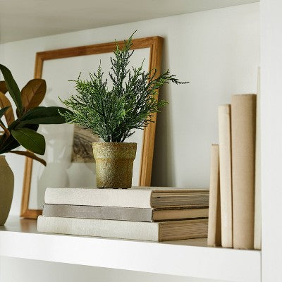  Small Potted Cyprus - Threshold™ Designed With Studio McGee