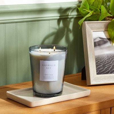  Colored Vase Glass With Dustcover Rainwater Lily Candle Gray - Threshold™
