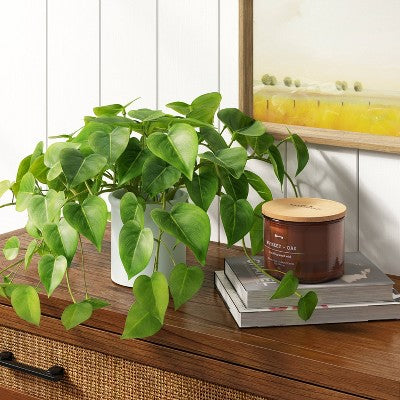 14" X 28" Artificial Pothos Plant In Pot - Threshold™