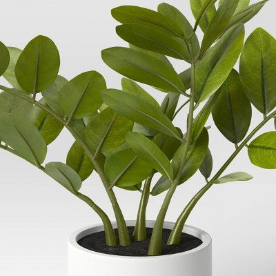  Small ZZ Plant - Threshold™